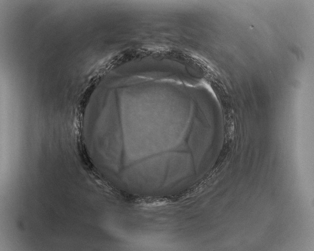 X0000116441397201001051156