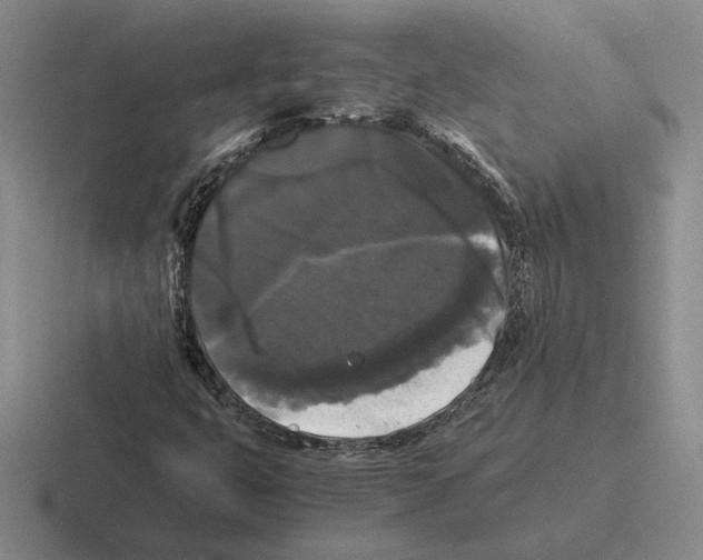 X0000116441399201001051156