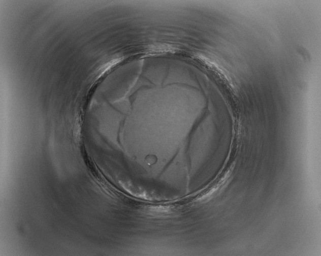 X0000116441401201001051156