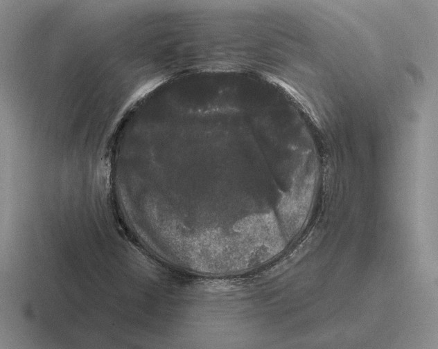 X0000116441402201001051156