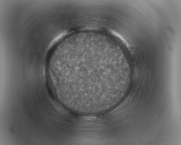 X0000116441403201001051156