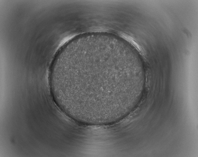 X0000116441404201001051156