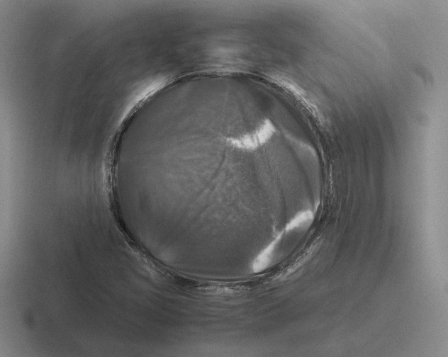 X0000116441405201001051156