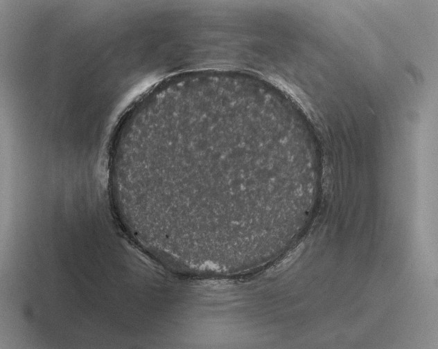 X0000116441406201001051156