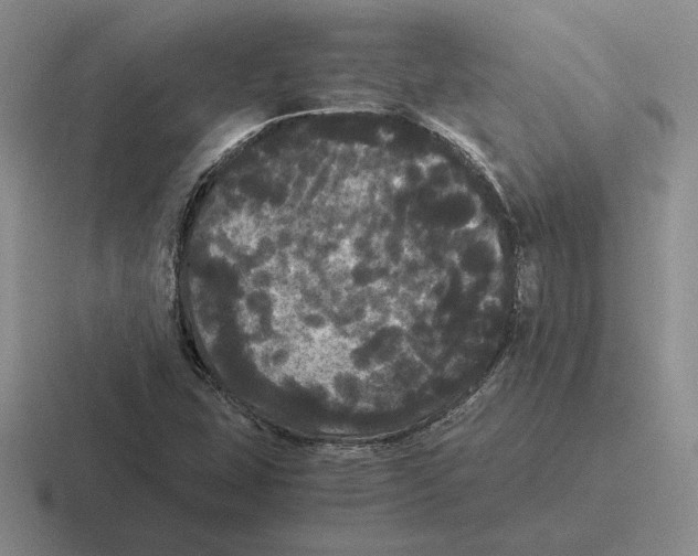 X0000116441407201001051156