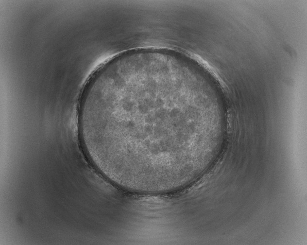 X0000116441408201001051156