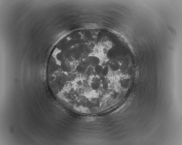 X0000116441409201001051156