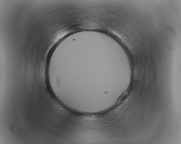 X0000116441410201001051156