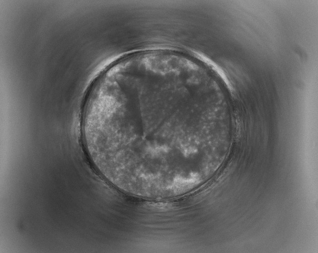 X0000116441415201001051156