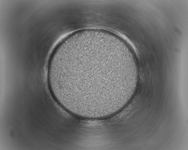 X0000116441416201001051156