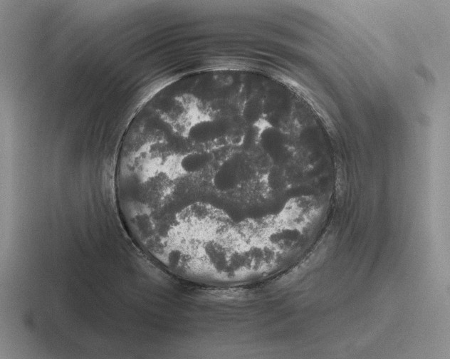 X0000116441417201001051156