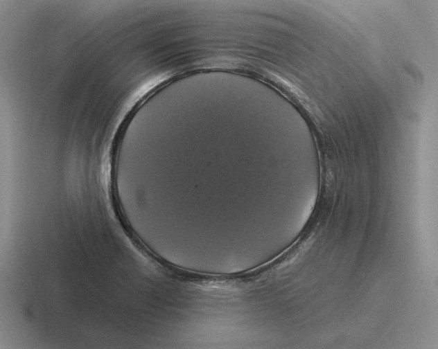 X0000116441418201001051156