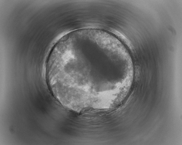 X0000116441419201001051156