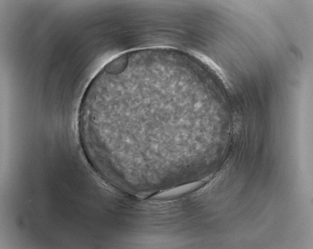 X0000116441423201001051156