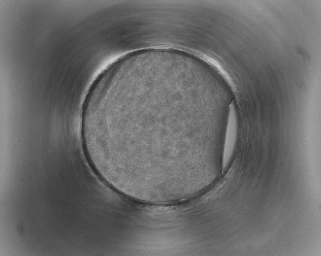 X0000116441424201001051156