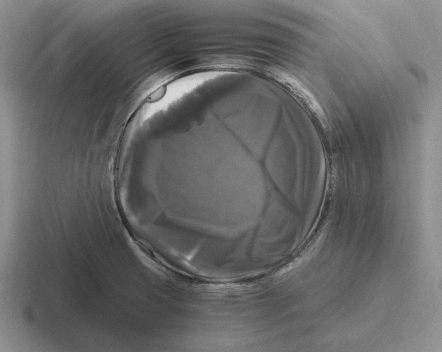 X0000116441425201001051156