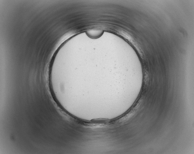 X0000116441426201001051156