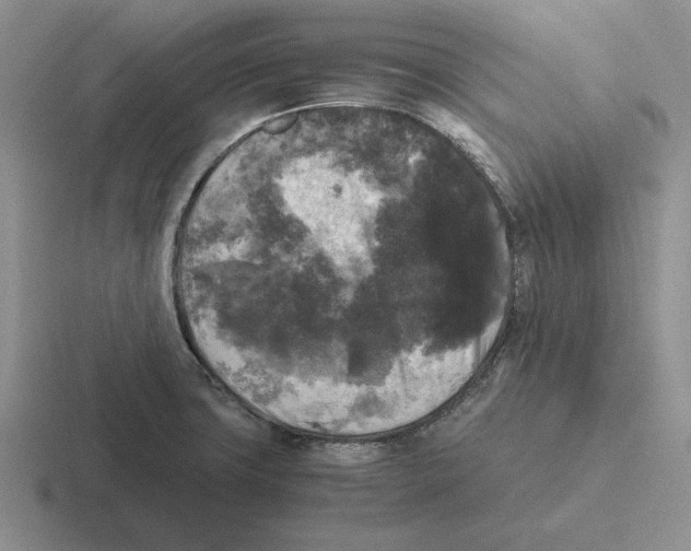 X0000116441427201001051156