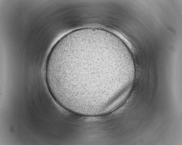 X0000116441430201001051156