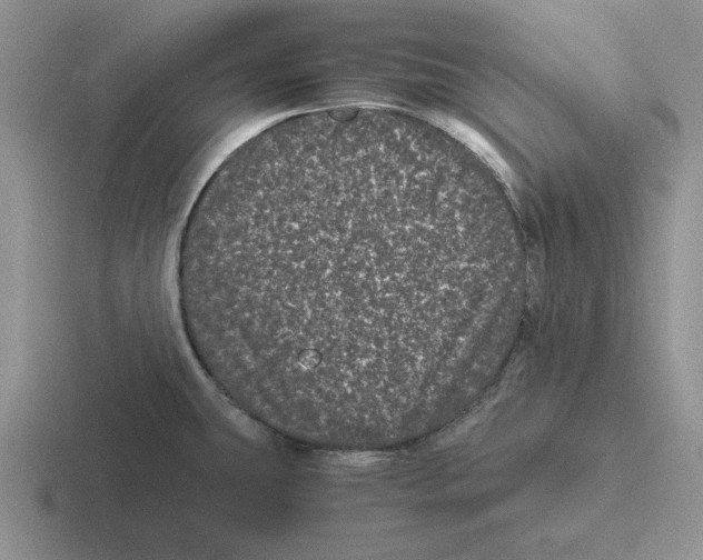 X0000116441431201001051156