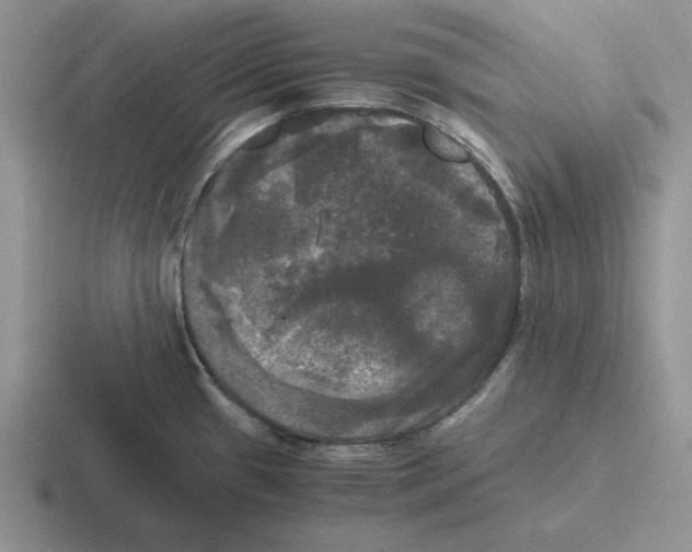 X0000116441433201001051156