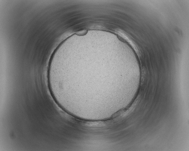 X0000116441434201001051156