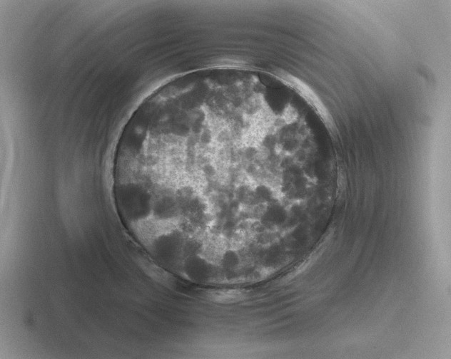 X0000116441435201001051156