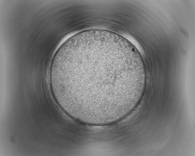 X0000116441436201001051156