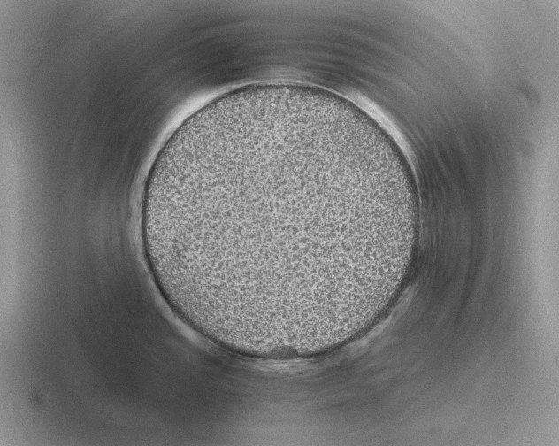 X0000116441437201001051156