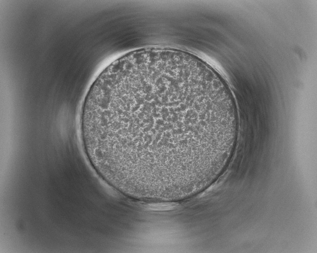 X0000116441440201001051156