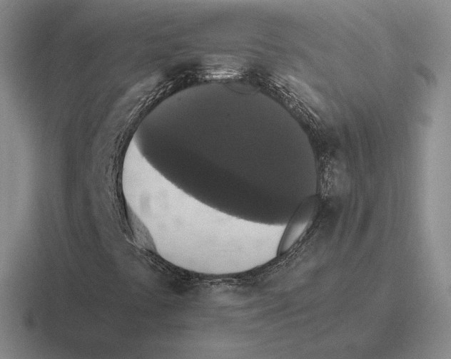 X0000116441441201001051155