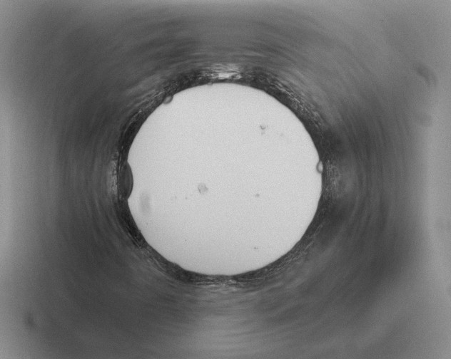 X0000116441442201001051155