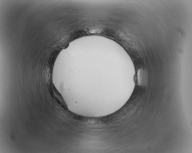 X0000116441443201001051155