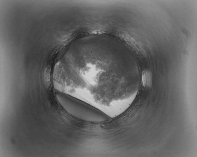 X0000116441444201001051155