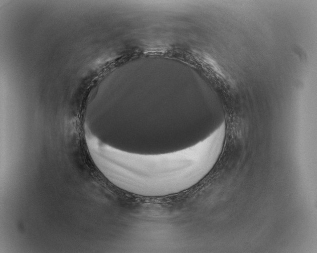 X0000116441445201001051155