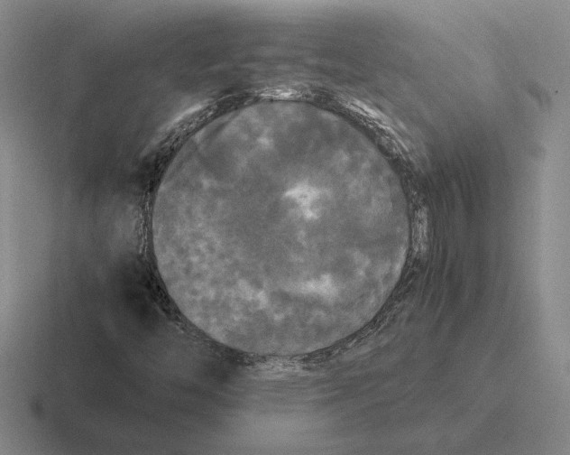 X0000116441446201001051155