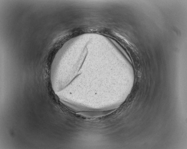 X0000116441447201001051155