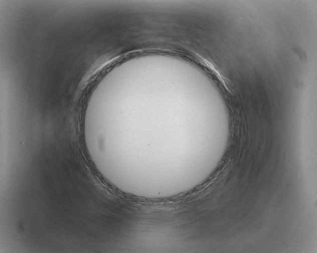 X0000116441448201001051155