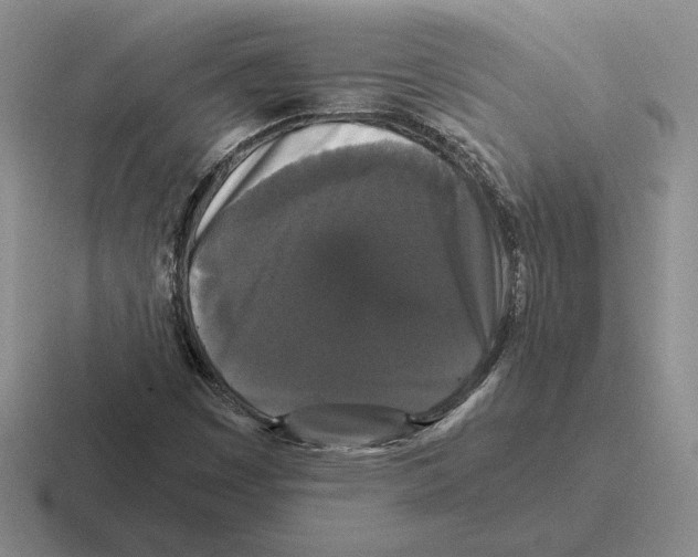 X0000116441449201001051155