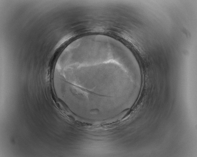 X0000116441450201001051155