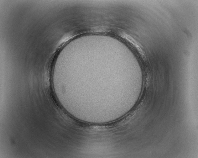 X0000116441451201001051155