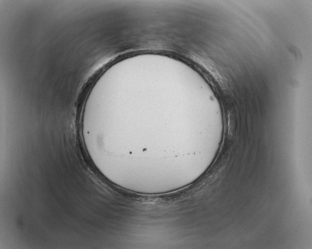 X0000116441452201001051155