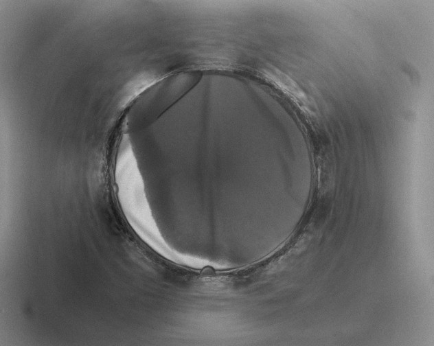 X0000116441453201001051155