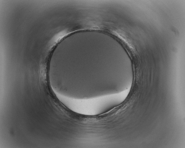 X0000116441455201001051155