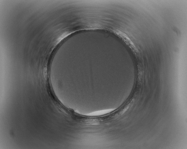 X0000116441457201001051155