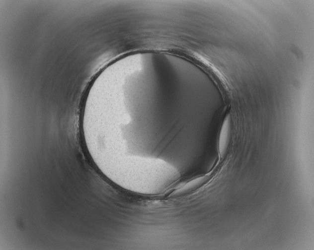 X0000116441459201001051155