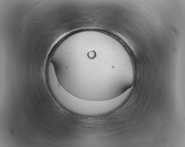 X0000116441460201001051155