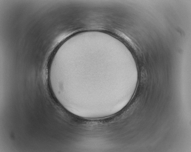 X0000116441461201001051155