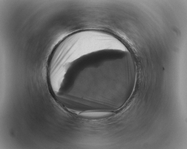 X0000116441463201001051155