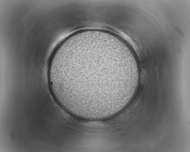 X0000116441464201001051155